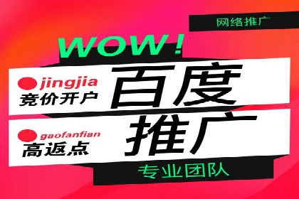 某企业利用百度SEM提升产品销量的实战经验